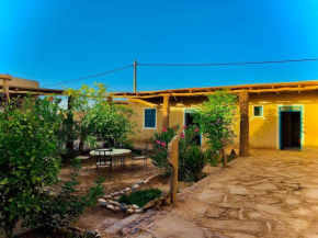 Dar Oasis Moringa